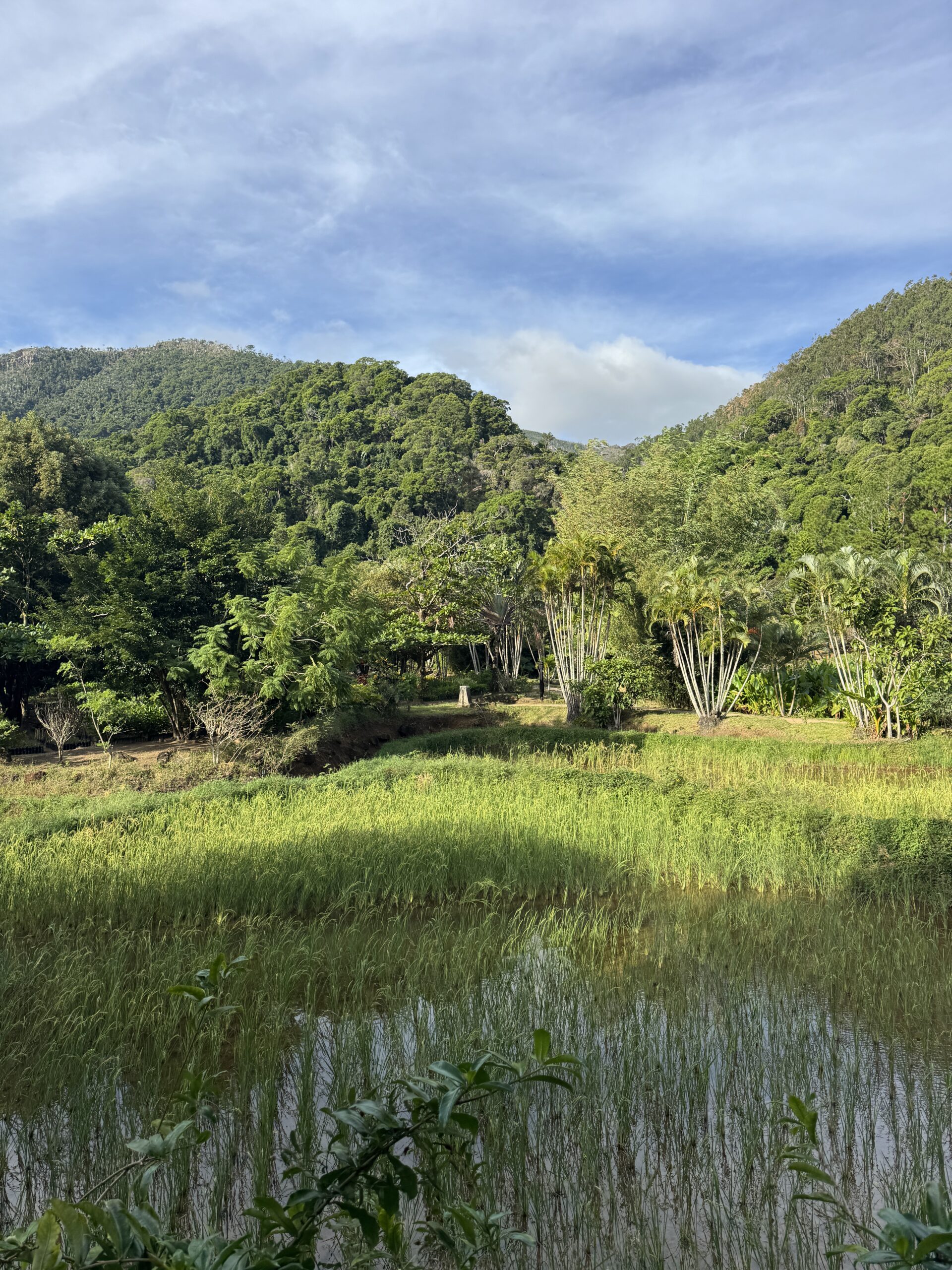 Domaine de la Cascade, Fort Dauphin Madagascar